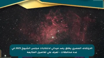 الائتلاف المصري يطلق رصد ميداني لانتخابات مجلس الشيوخ 2025 في عدة محافظات – تعرف على تفاصيل المتابعة